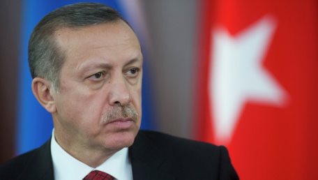 Президент Турции обсудил проблему беженцев с Франсуа Олландом